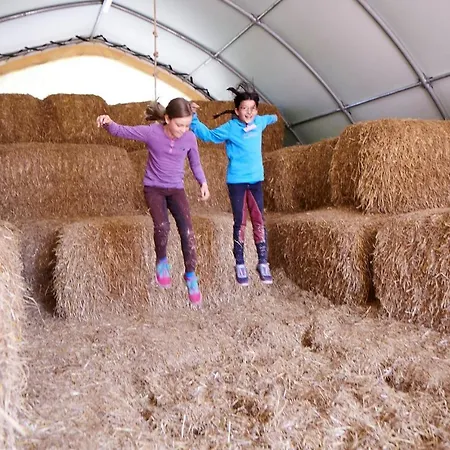 Seestern Apartament Bliesdorf