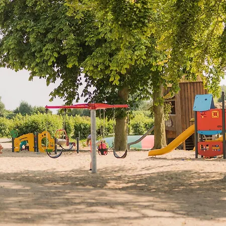 Seestern Bliesdorf